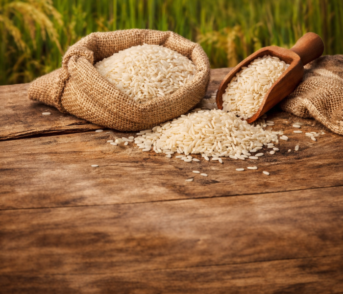 ChatGPT Image Jan 5, 2026, 03_49_32 PM